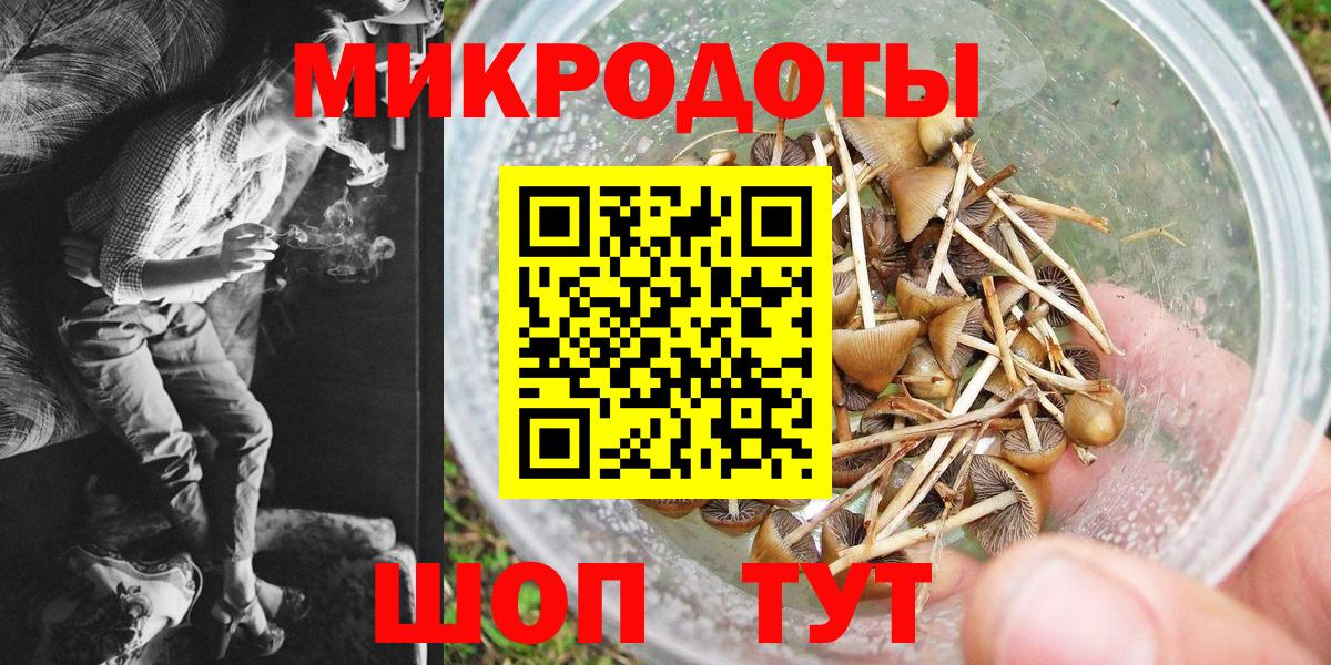 Псилоцибиновые грибы MAGIC MUSHROOMS Барнаул